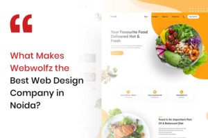 What Makes Webwolfz the Best Web Design Company in Noida