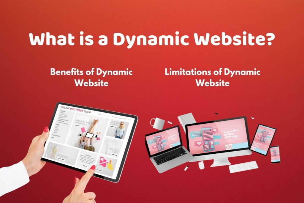 Static vs Dynamic Website in 2026 | Difference, Cost & Best Choice for ...