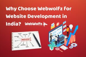 Why Choose Webwolfz for Website Development in India