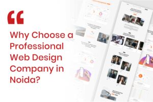 Why Choose a Professional Web Design Company in Noida