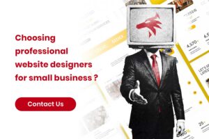 Professional Website Designers for Small Business