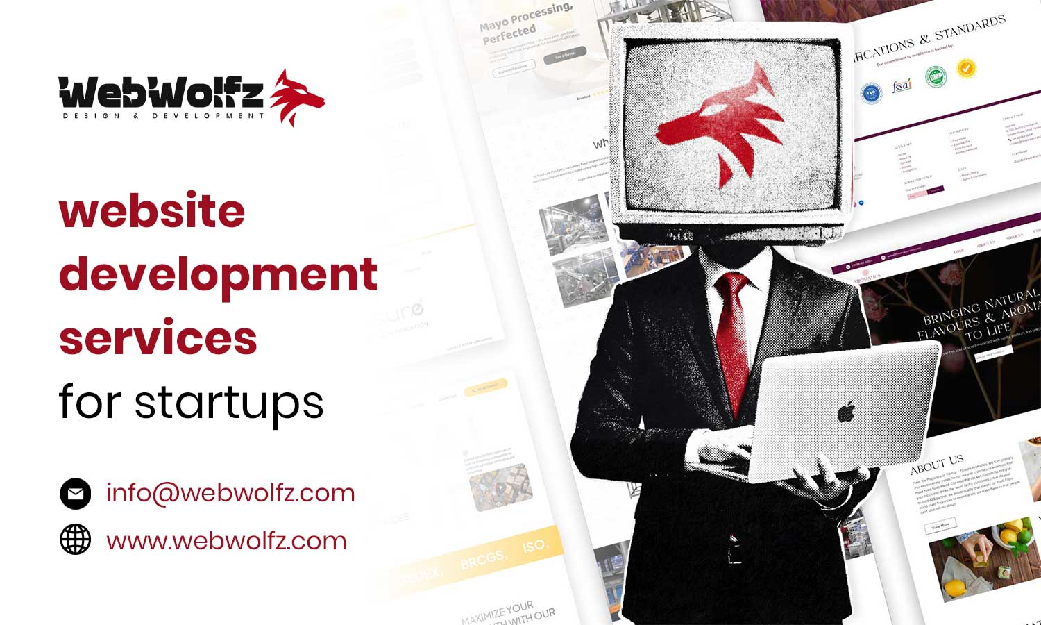 website development services for startups