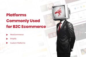 Platforms Commonly Used for B2C Ecommerce