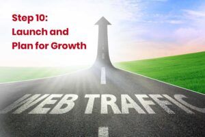 Step 10 Launch and Plan for Growth