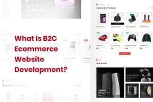 What Is B2C Ecommerce Website Development