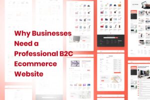 Why Businesses Need a Professional B2C Ecommerce Website