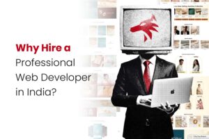 Why Hire a Professional Web Developer in India