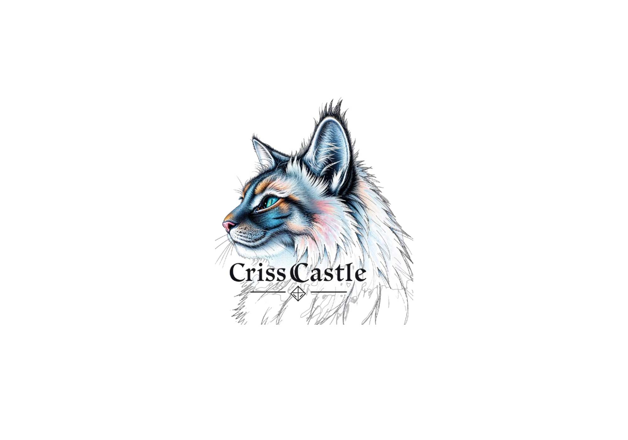 Criss-Castle-Logo