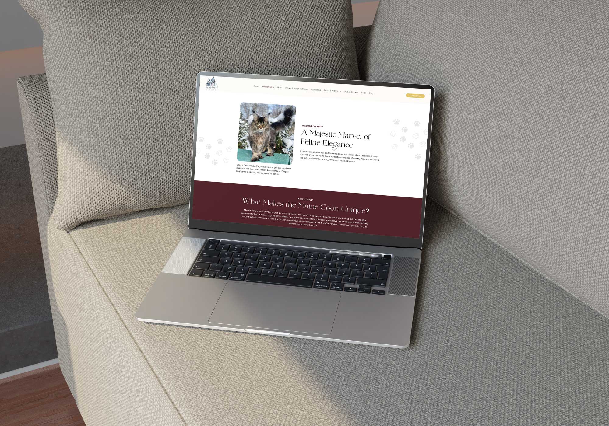 Criss-Castle-Website-Design