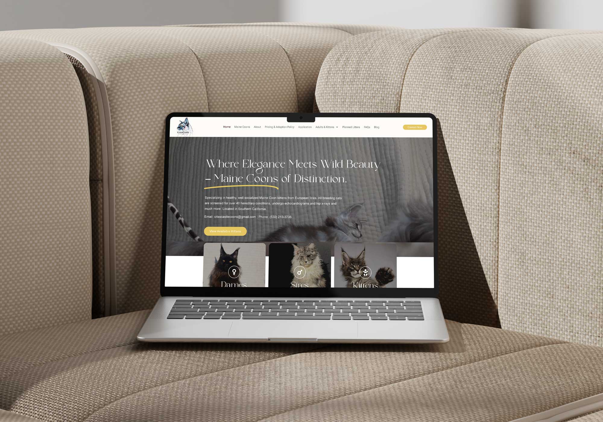 Website-Design-Agency-for-animals