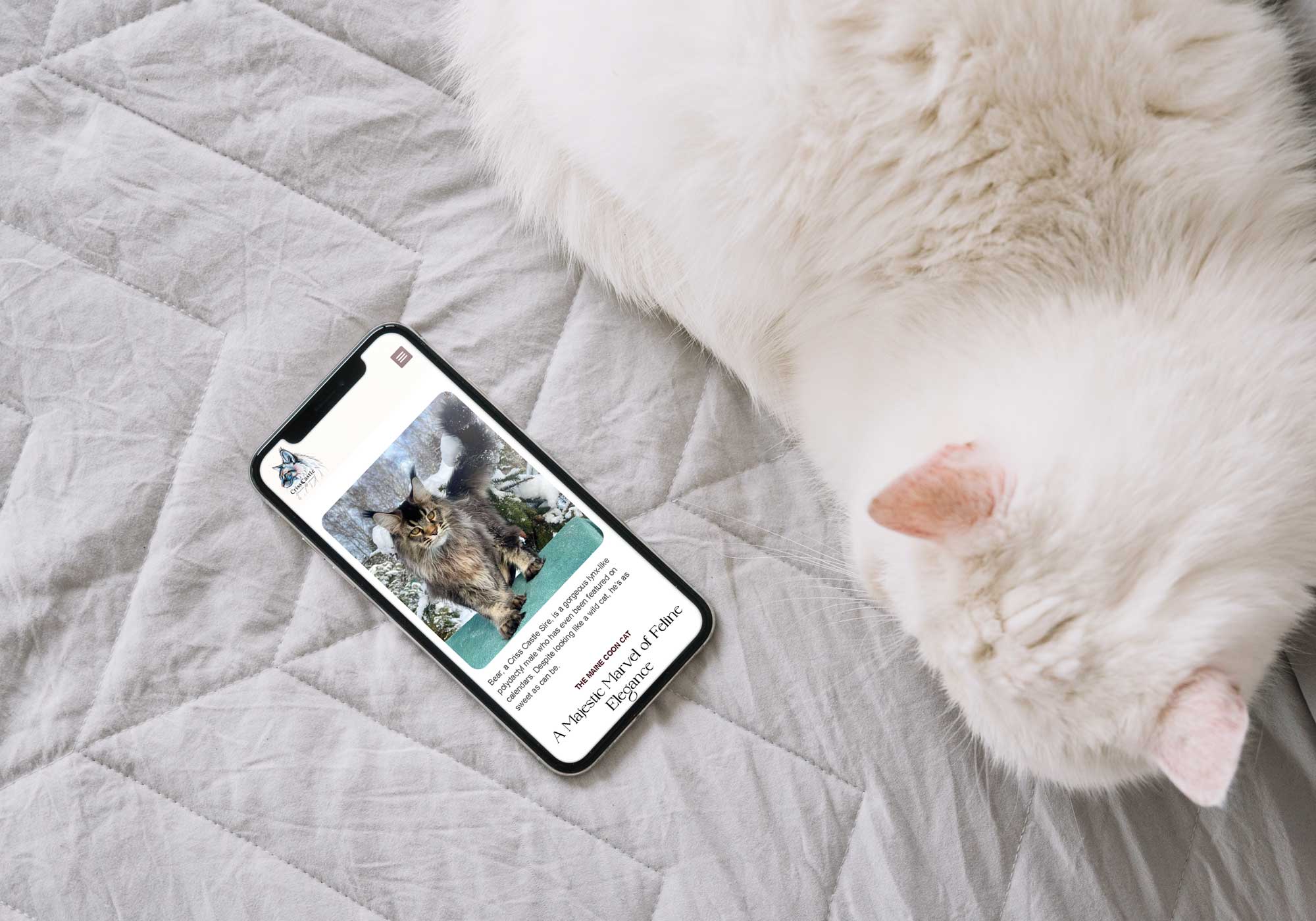 Website-Design-Company-for-pets