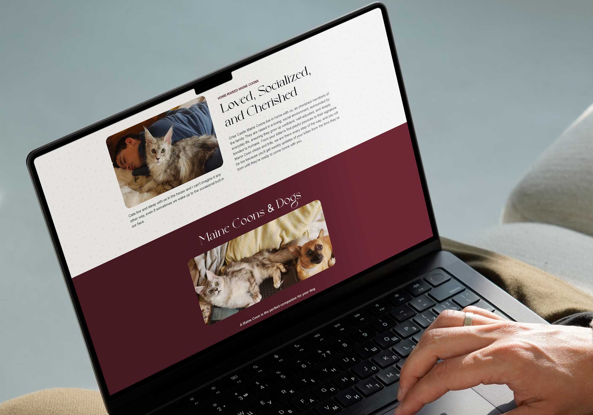 Website-Design-Services-for-pet-brands