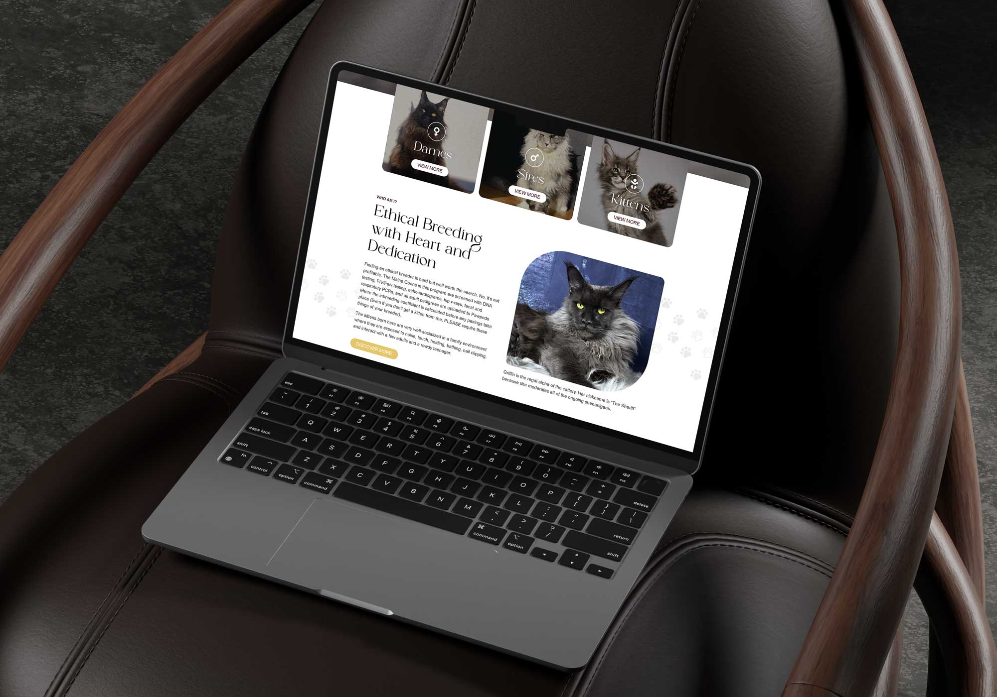 Website-Design-agency-for-Pet-Company