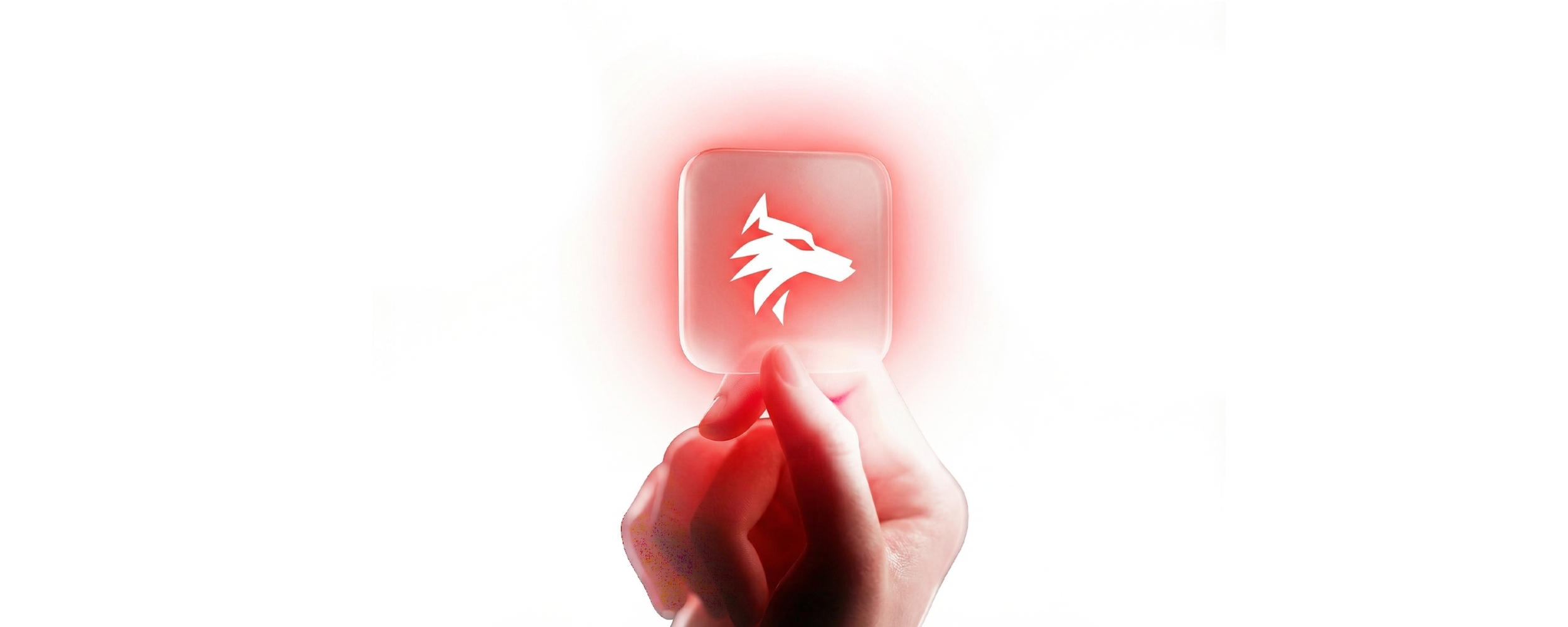 CTA WebWolfz